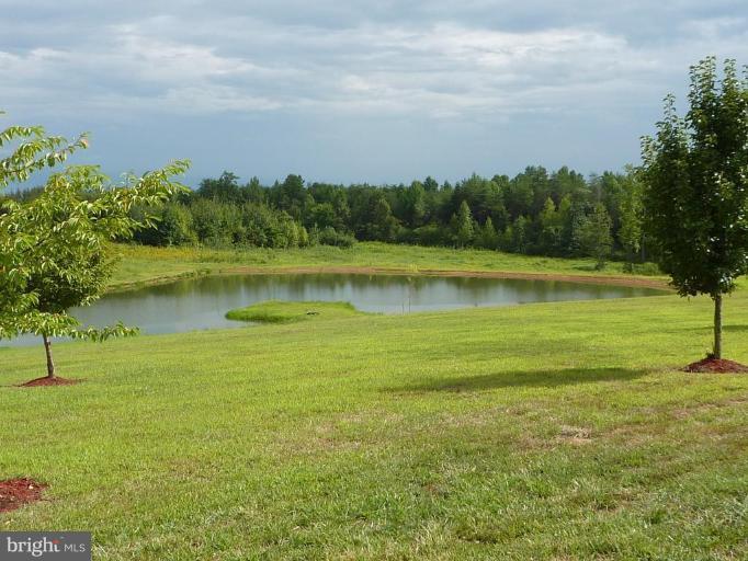 15148 Johnsons Road Culpeper, VA 22701 - Photo 6 of 30 Wooded View / Acreage 2