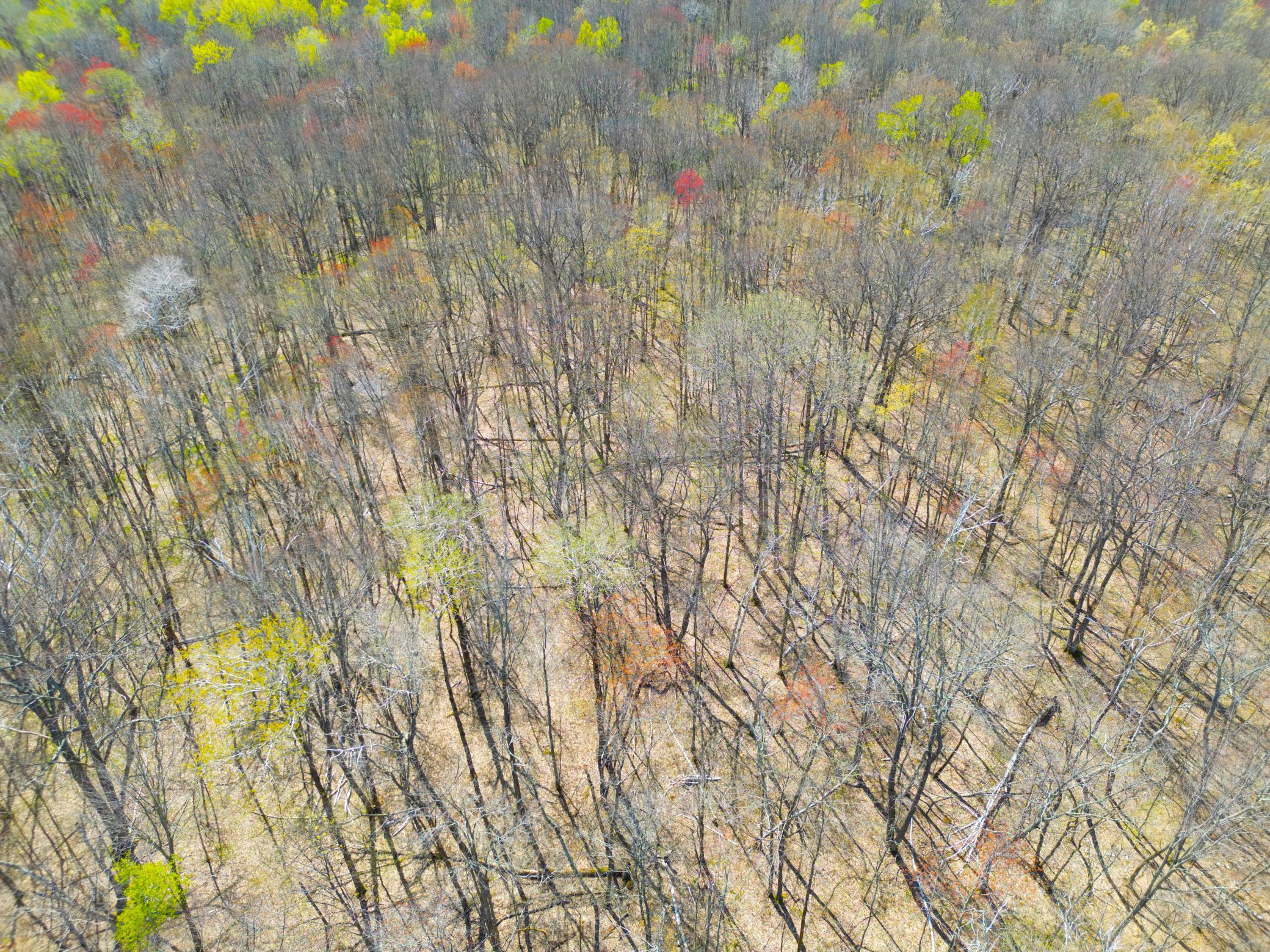 Xxx McGrew Road Isle, MN 56342 - Photo 11 of 92