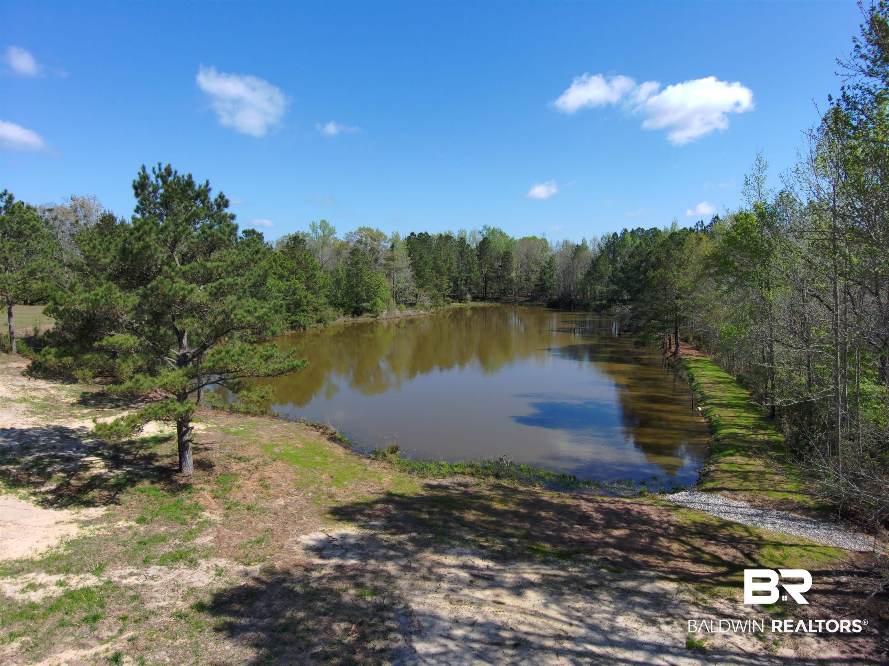 0 Gap Weekly Road Perdido, AL 36562 - Photo 7 of 20