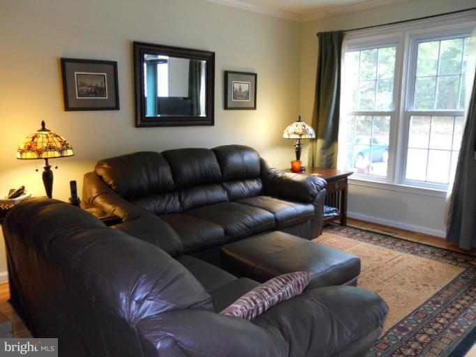 8446 Springfield Oaks Drive Springfield, VA 22153 - Photo 17 of 19 Living Room