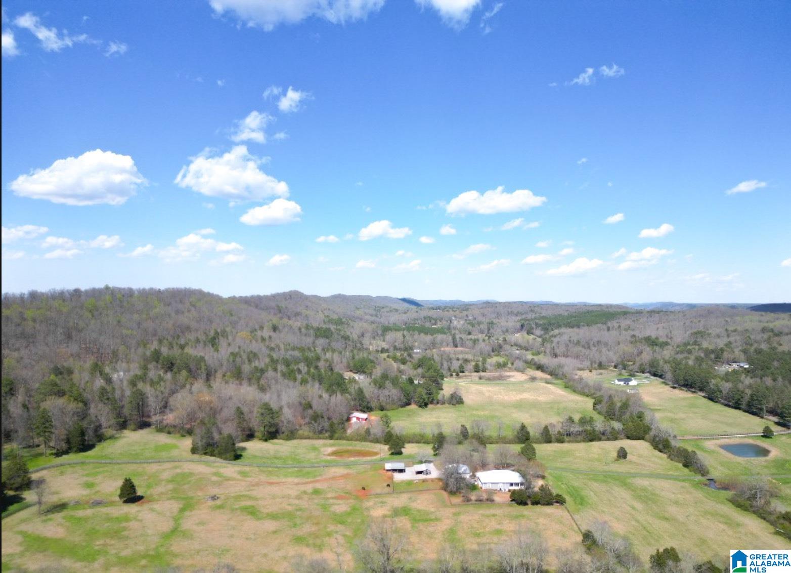 1931 Red Valley Road Remlap, AL 35133 - Photo 2 of 17