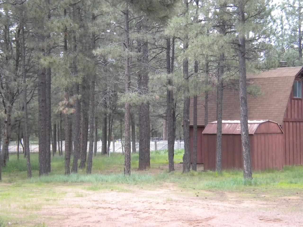 2125 Indian Trail Overgaard, AZ 85933 - Photo 23 of 26