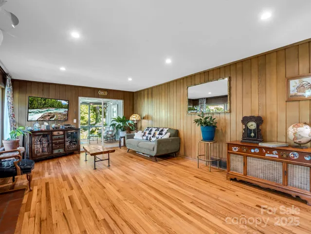 a view of a forest with a street