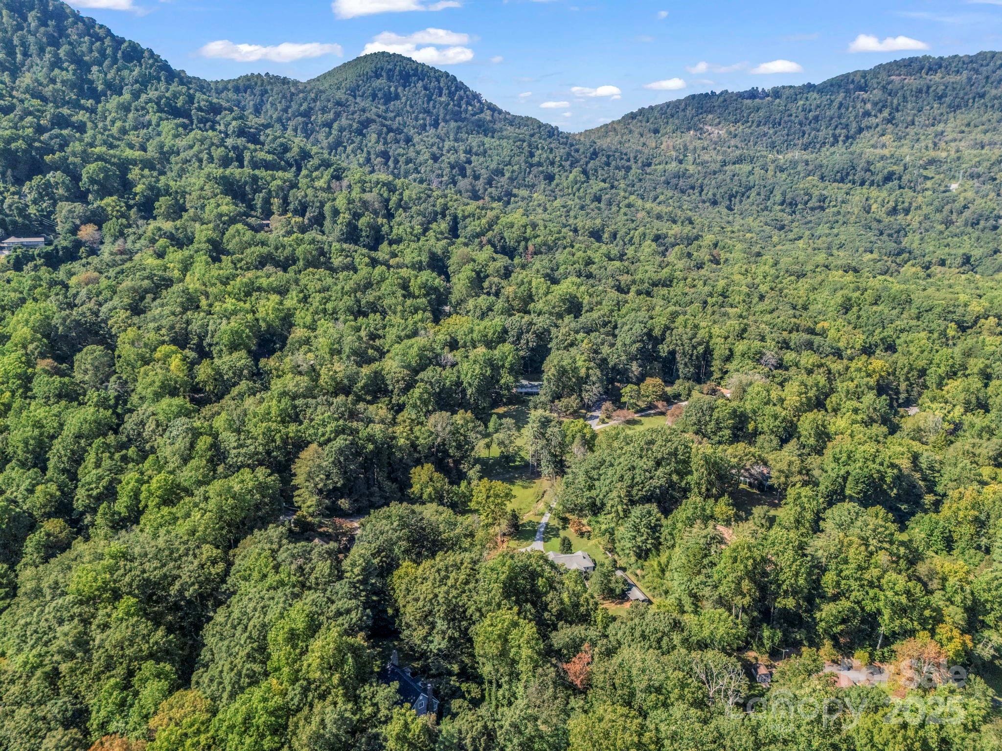 81 Jericho Drive Tryon, NC 28782 - Photo 16 of 43 a view of a forest with a street