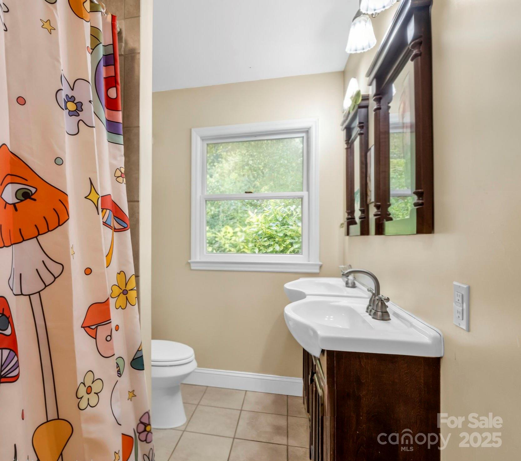 81 Jericho Drive Tryon, NC 28782 - Photo 30 of 43 a bathroom with a sink mirror vanity and toilet
