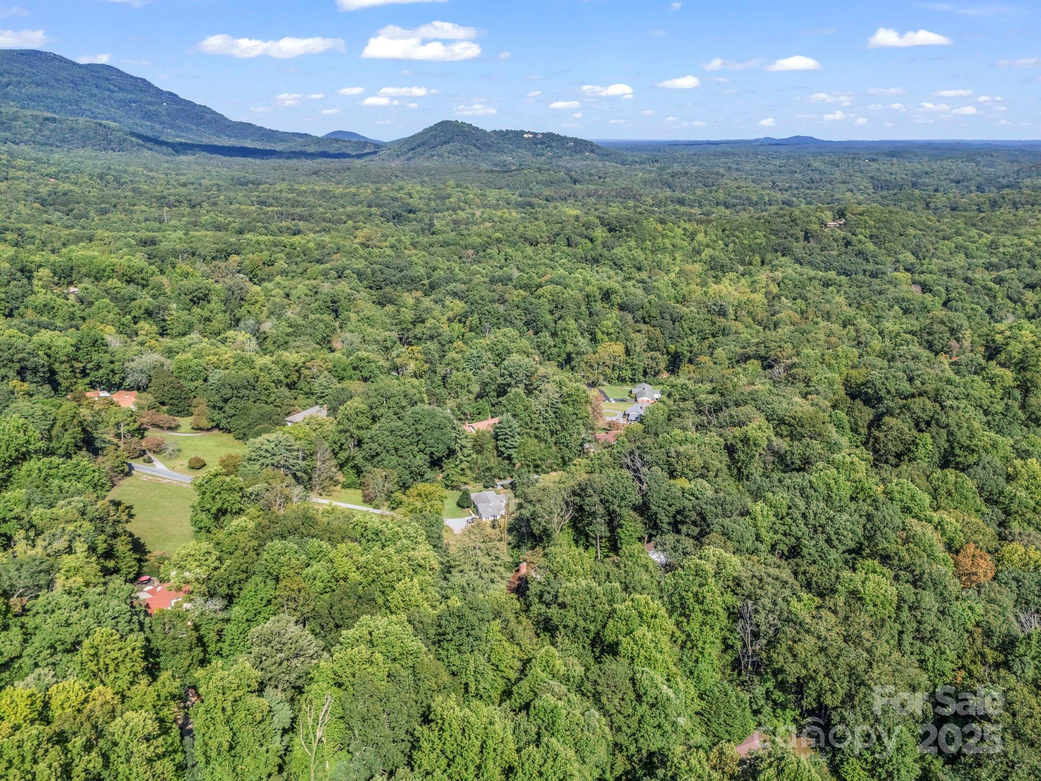 81 Jericho Drive Tryon, NC 28782 - Photo 38 of 43 a view of a big yard with lots of palm trees
