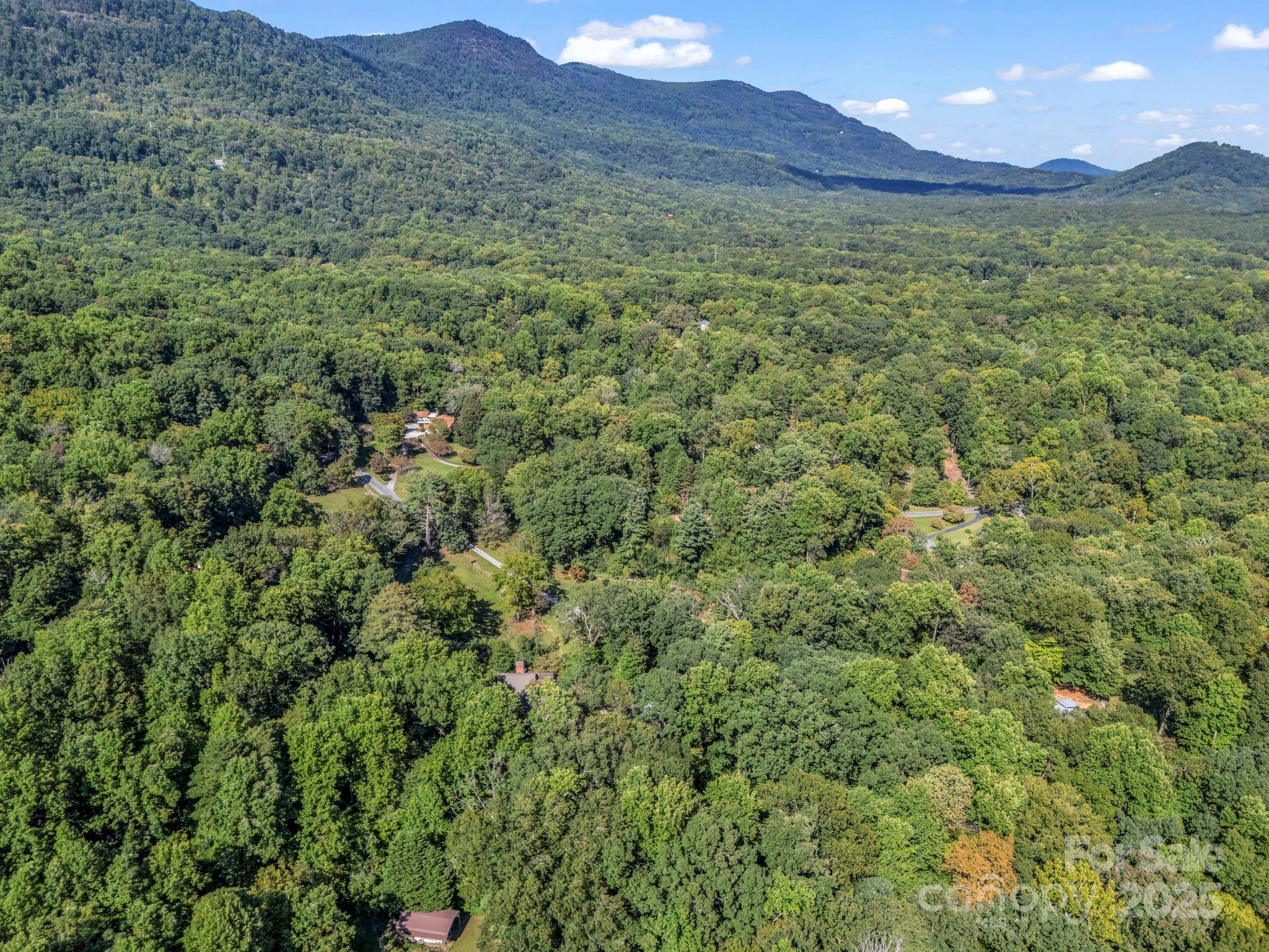 81 Jericho Drive Tryon, NC 28782 - Photo 39 of 43 a view of a lush green hillside and a building
