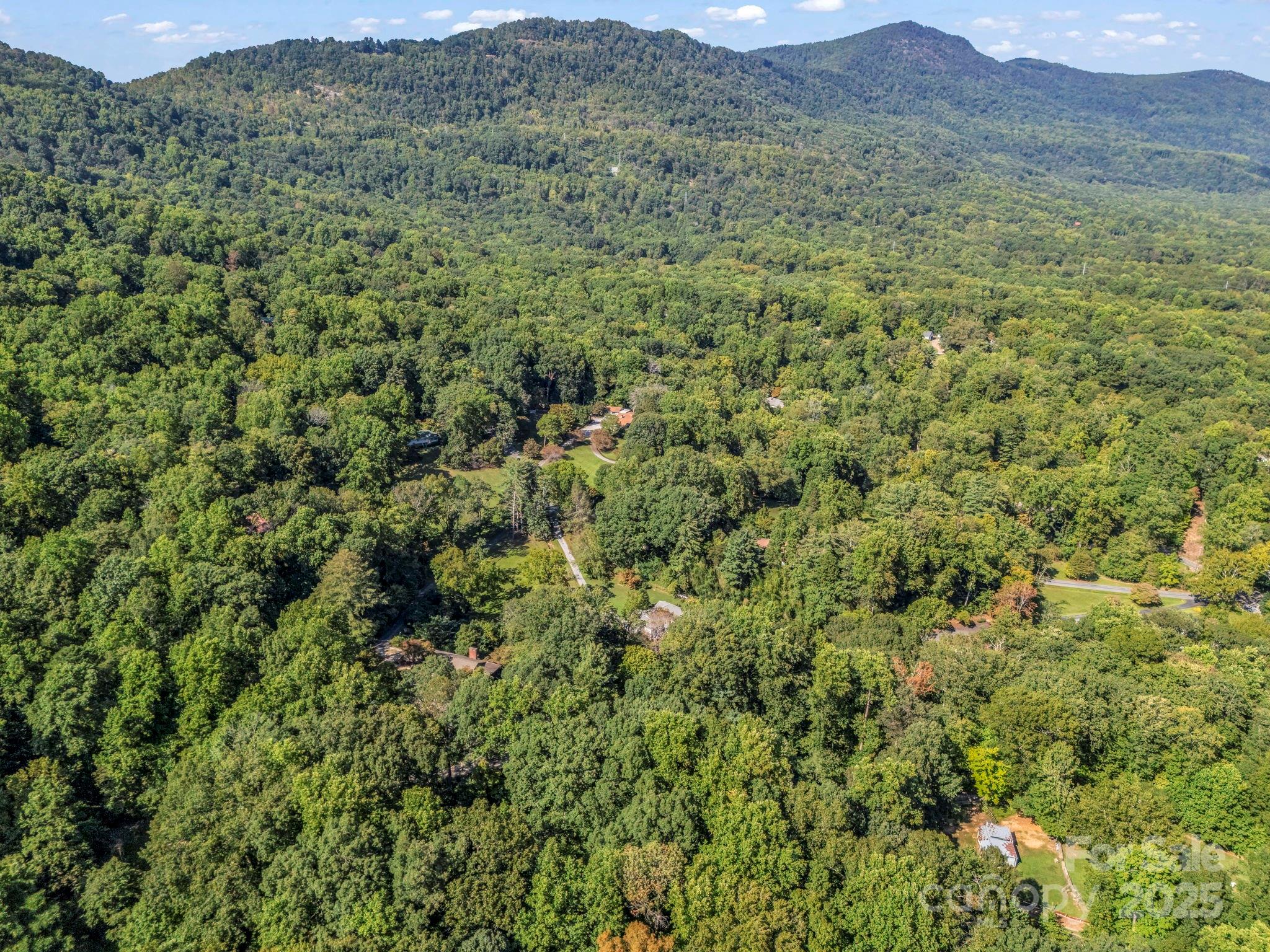 81 Jericho Drive Tryon, NC 28782 - Photo 41 of 43 a view of a lush green hillside and covered with tall trees