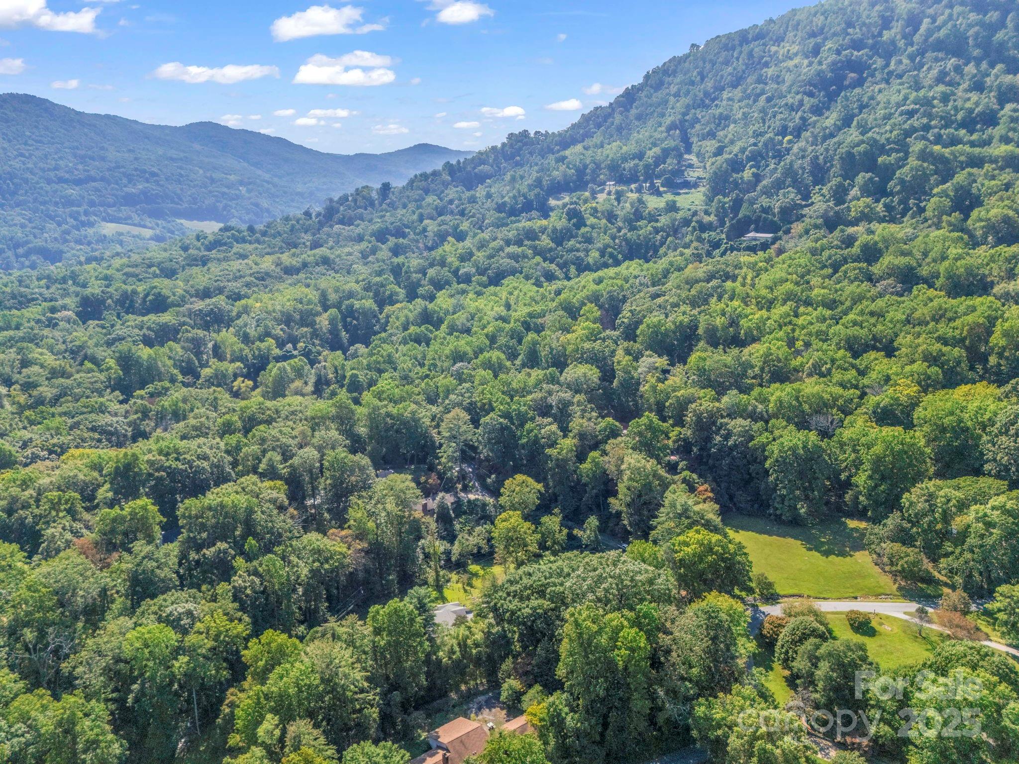81 Jericho Drive Tryon, NC 28782 - Photo 42 of 43 a view of a lush green forest with mountains in the background