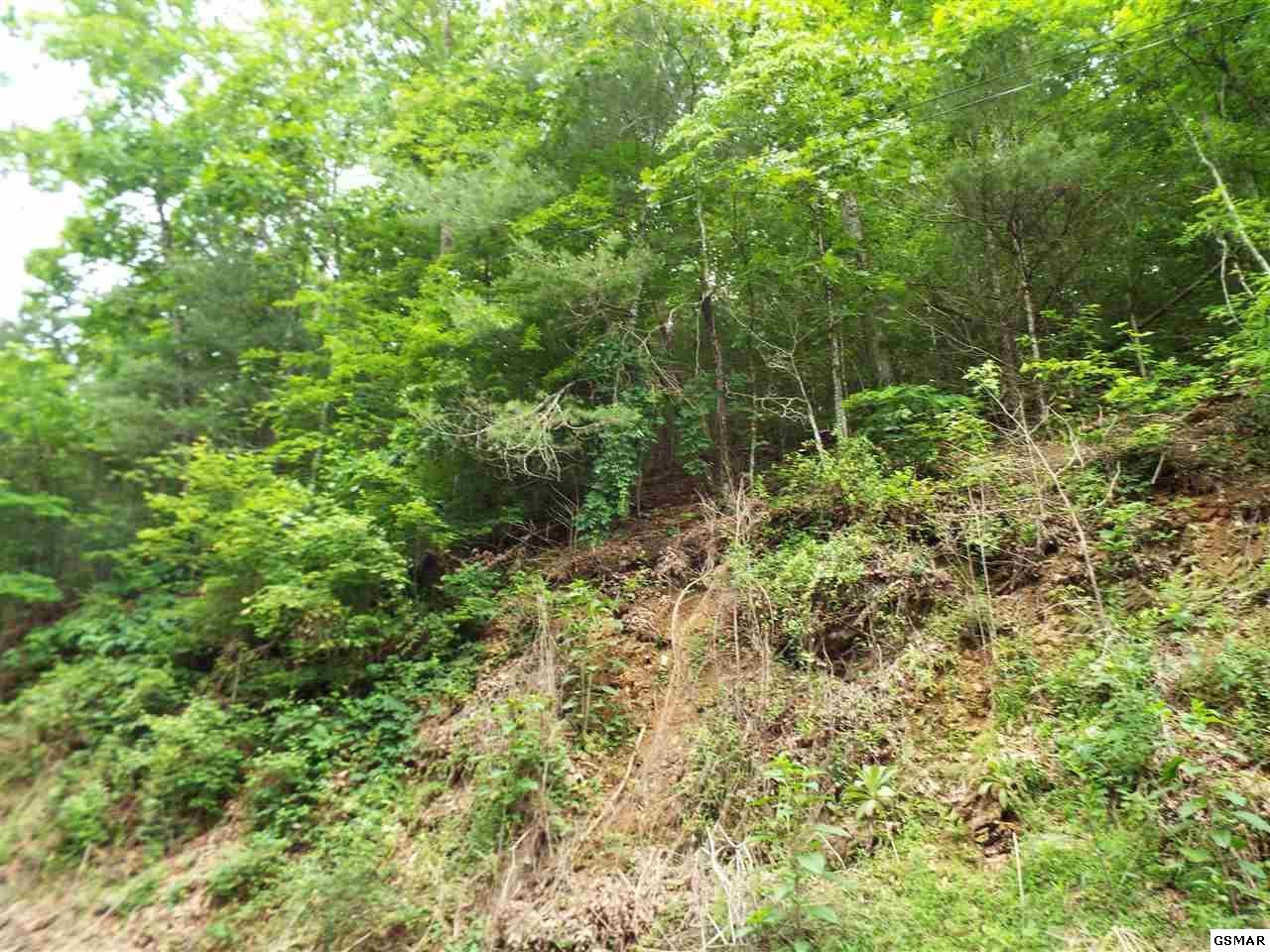 14 Sunset Road Sevierville, TN 37862 - Photo 8 of 20