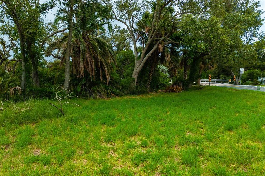 Oak Street Nokomis, FL 34275 - Photo 15 of 20 a view of a park with trees in the background