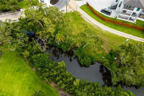 a view of a garden with plants
