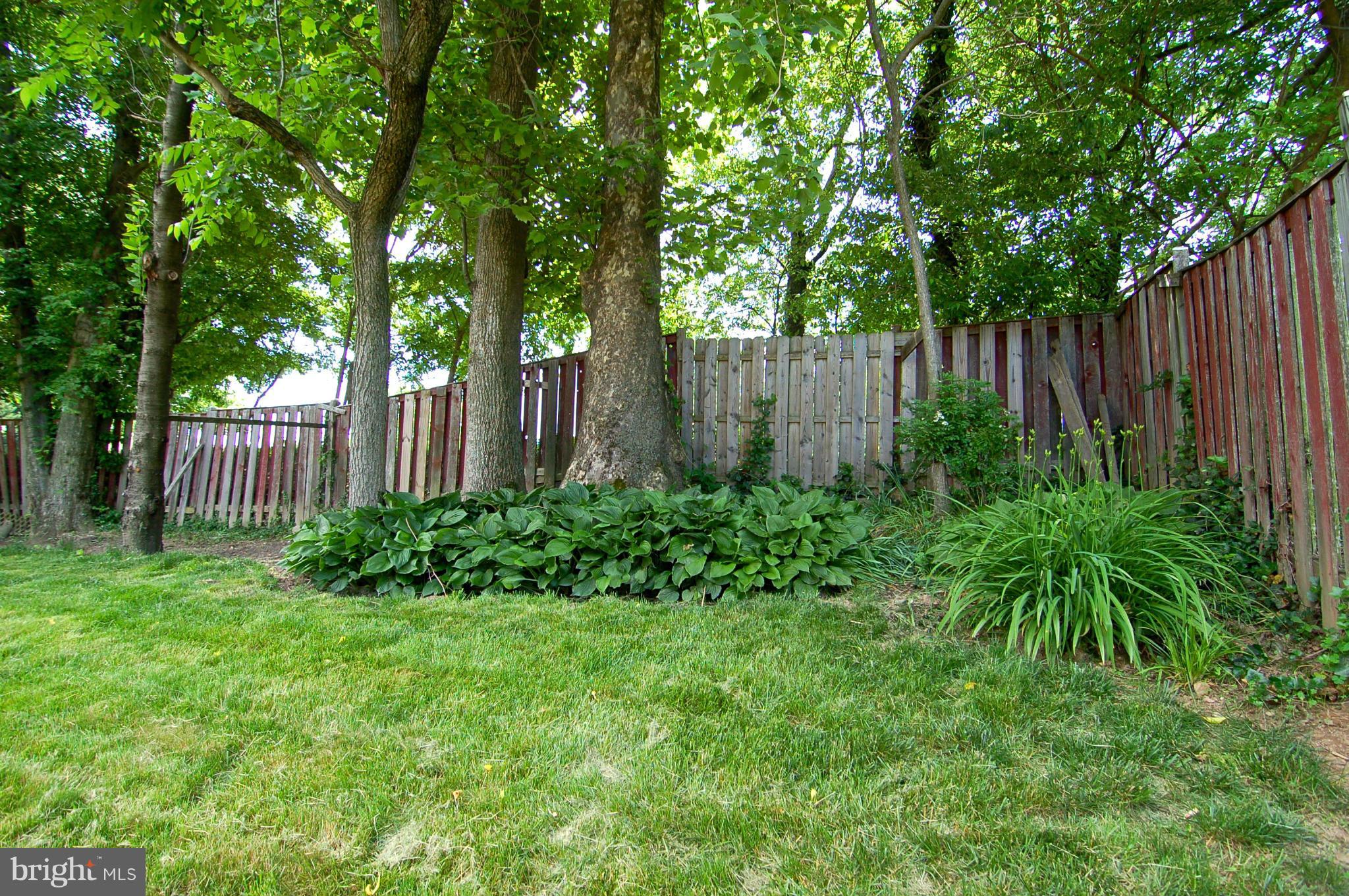 2721 Weller Road Silver Spring, MD 20906 - Photo 25 of 30 Exterior (Rear)