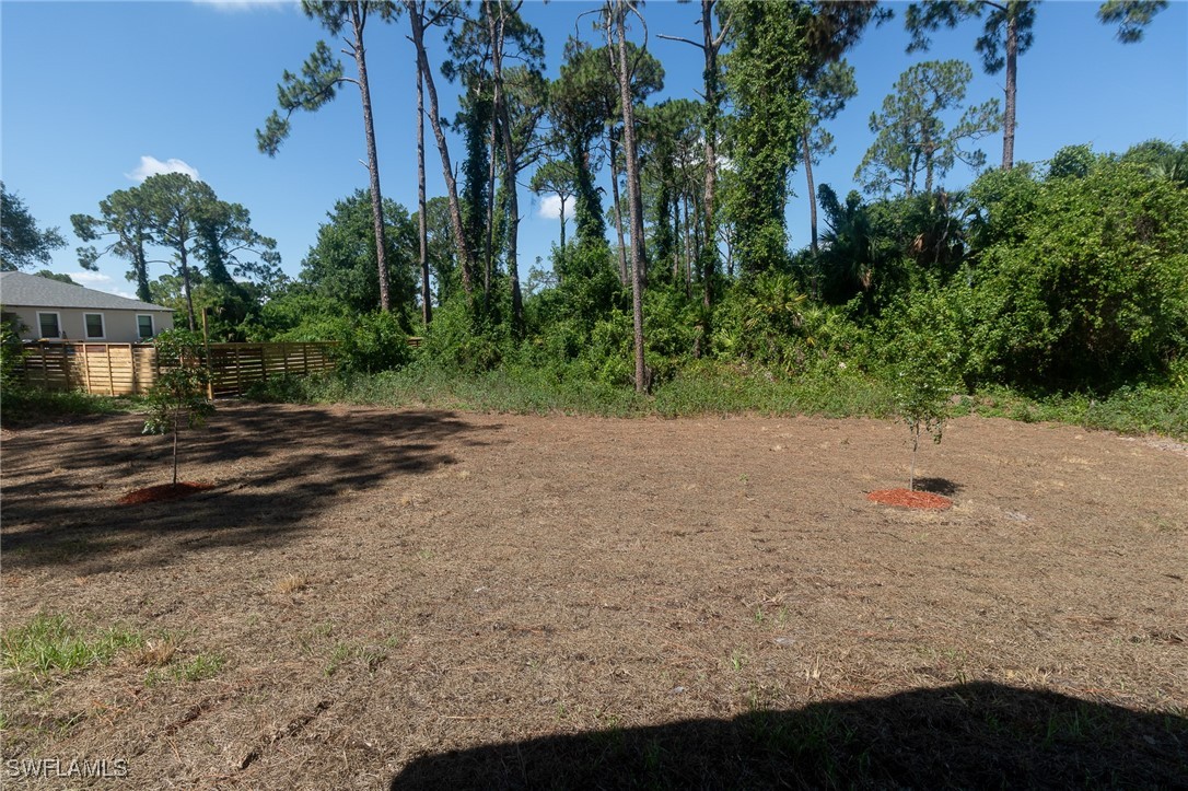 3105 Myra Lane LaBelle, FL 33935 - Photo 26 of 29 a view of outdoor space and yard