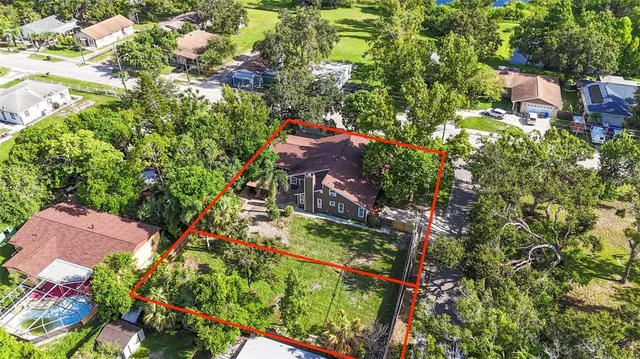 a picture of flowers