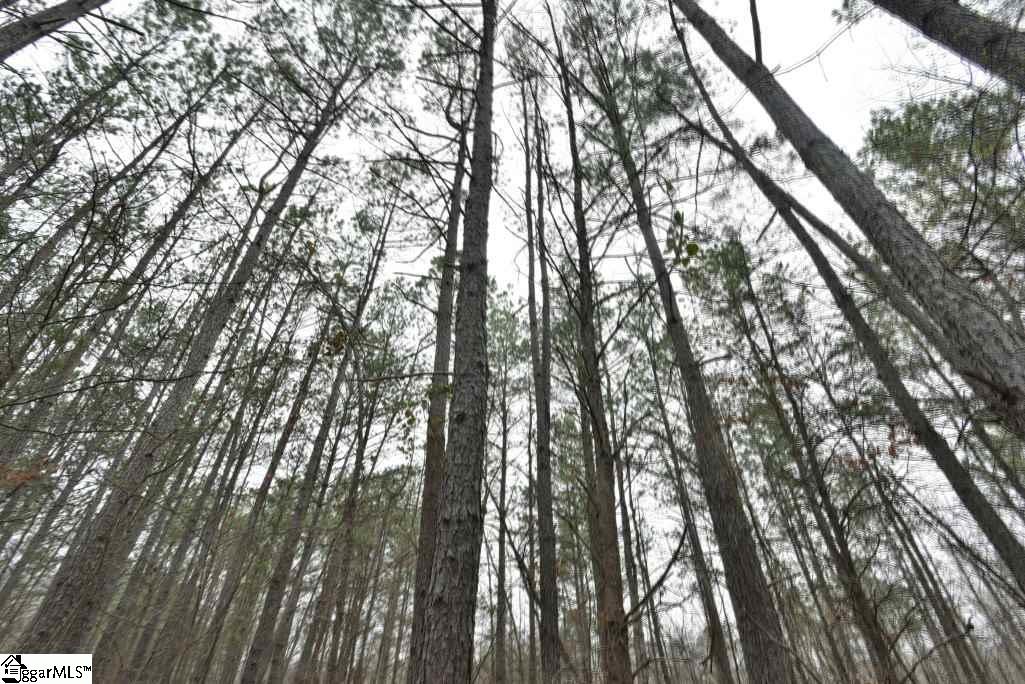 0 Fairfield Road, Unit LOT B Chesnee, SC 29323 - Photo 2 of 18