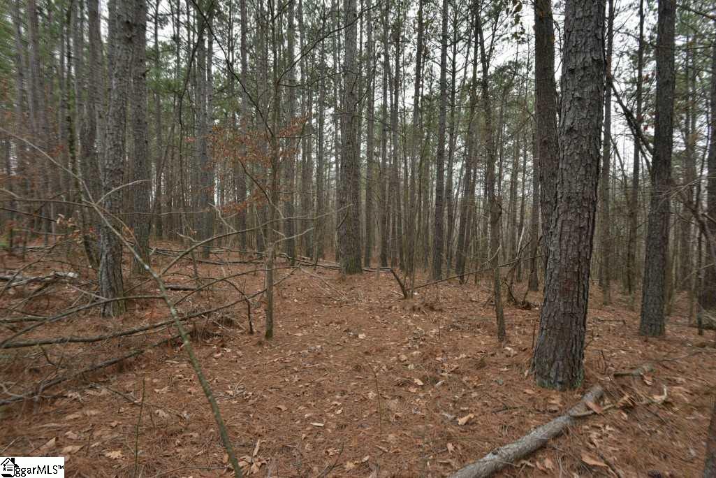0 Fairfield Road, Unit LOT B Chesnee, SC 29323 - Photo 11 of 18