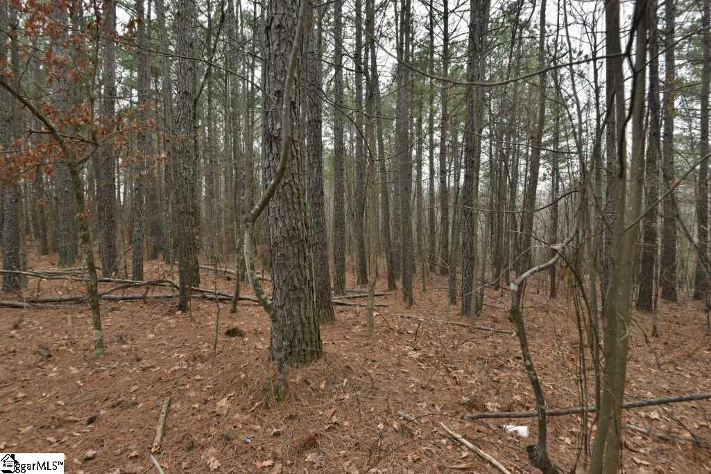0 Fairfield Road, Unit LOT B Chesnee, SC 29323 - Photo 12 of 18