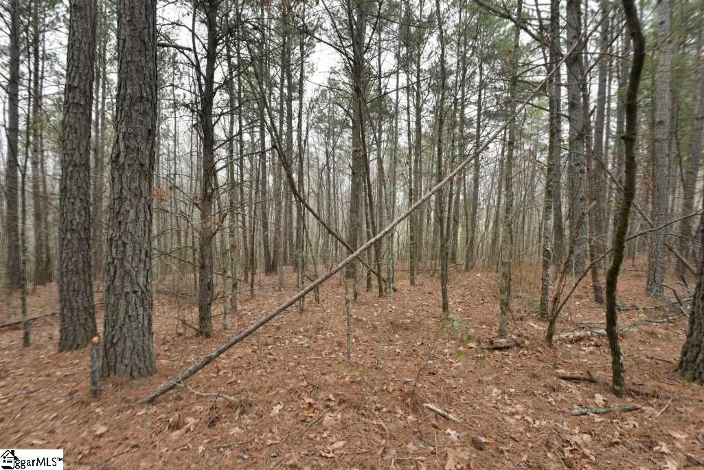0 Fairfield Road, Unit LOT B Chesnee, SC 29323 - Photo 14 of 18