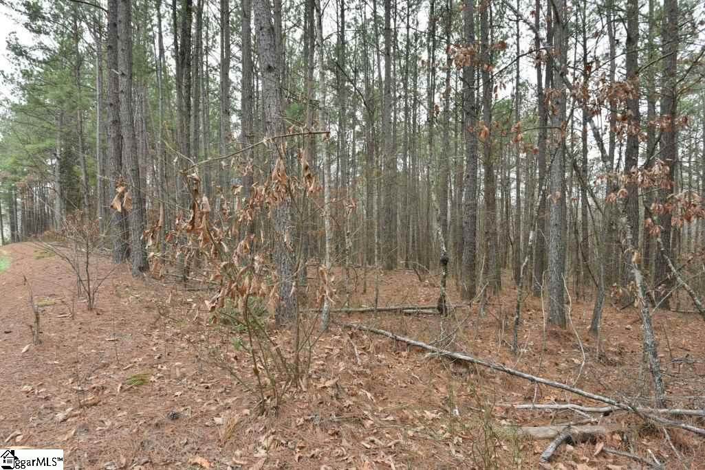 0 Fairfield Road, Unit LOT B Chesnee, SC 29323 - Photo 15 of 18