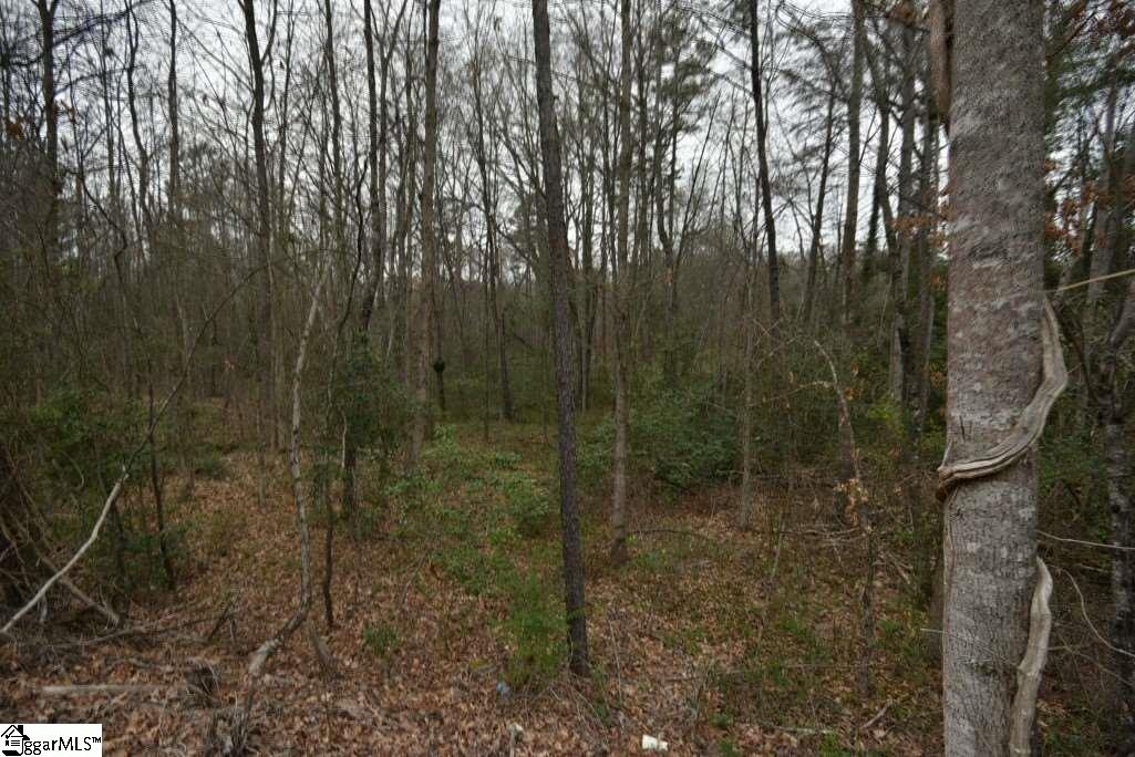 0 Fairfield Road, Unit LOT B Chesnee, SC 29323 - Photo 4 of 18