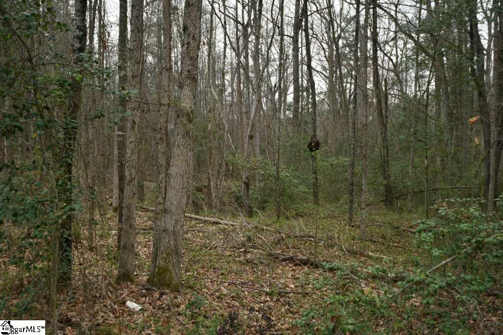 0 Fairfield Road, Unit LOT B Chesnee, SC 29323 - Photo 6 of 18