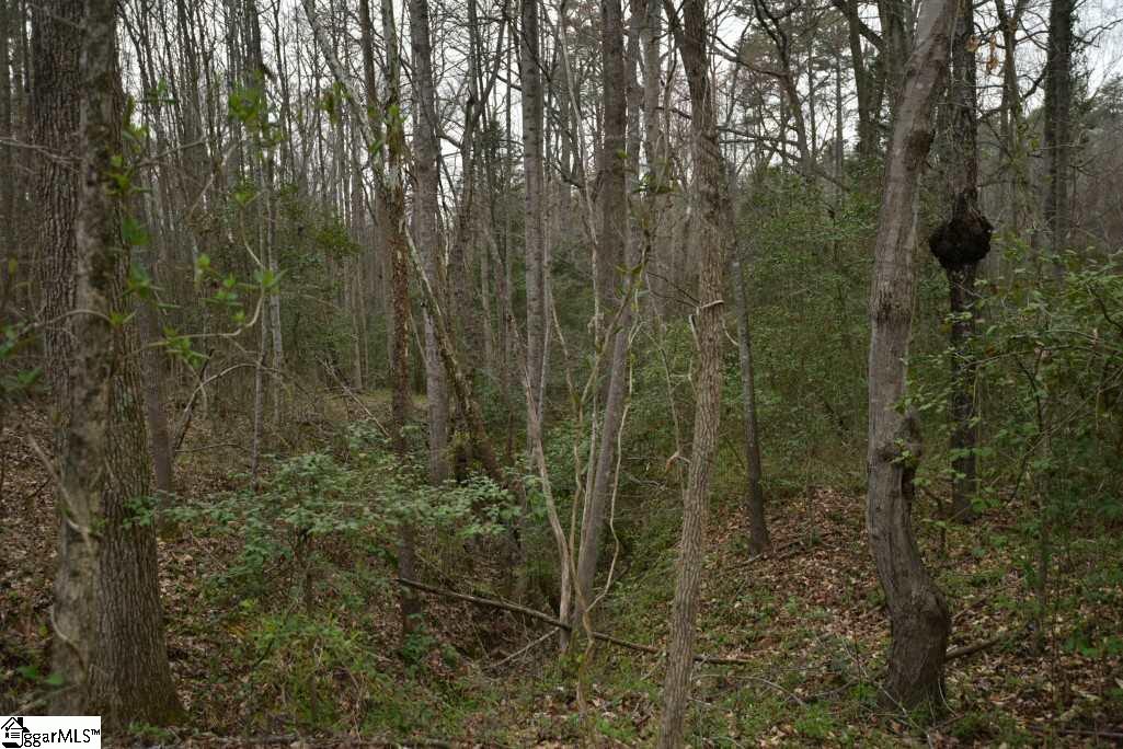 0 Fairfield Road, Unit LOT B Chesnee, SC 29323 - Photo 7 of 18