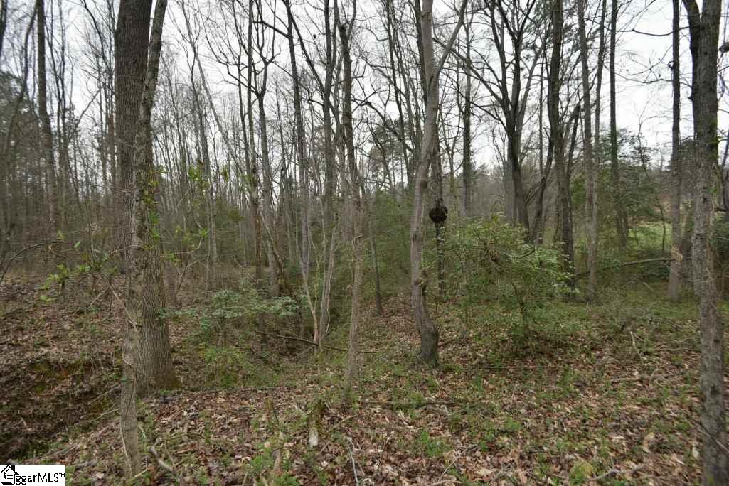 0 Fairfield Road, Unit LOT B Chesnee, SC 29323 - Photo 8 of 18