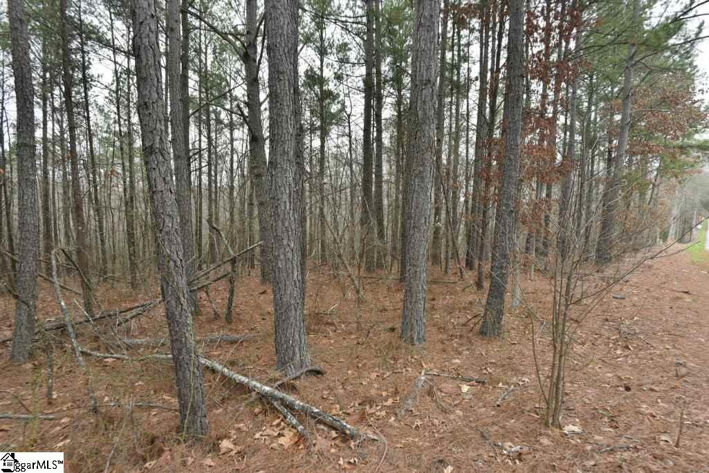 0 Fairfield Road, Unit LOT B Chesnee, SC 29323 - Photo 9 of 18