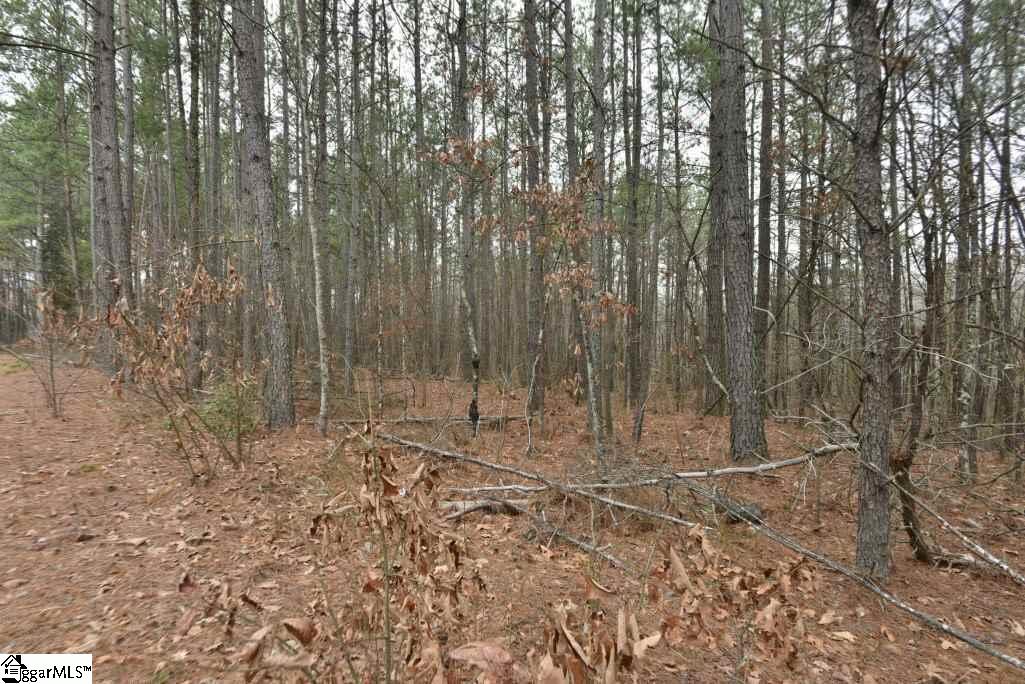 0 Fairfield Road, Unit LOT B Chesnee, SC 29323 - Photo 10 of 18