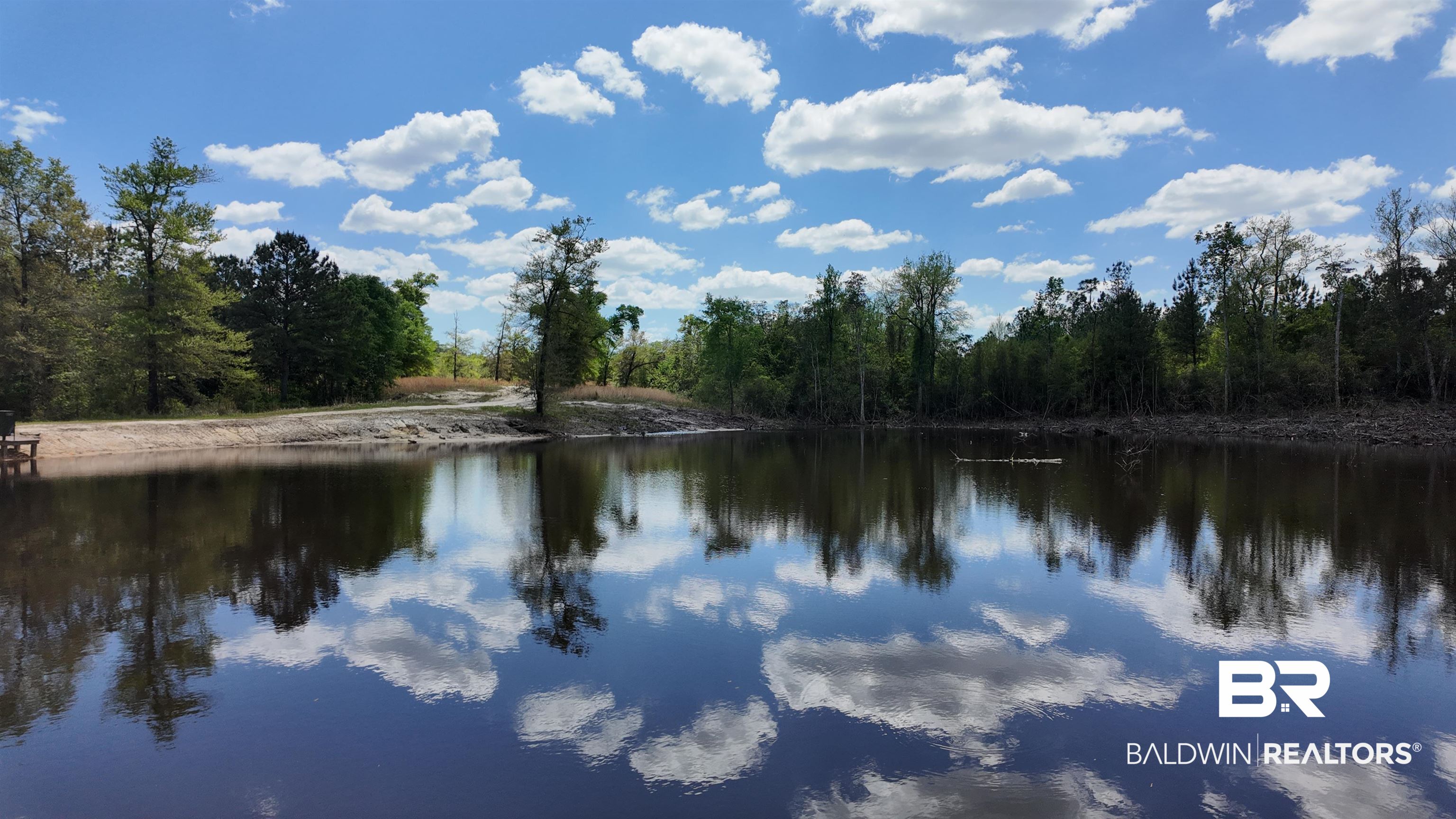 0 Powell Road Eight Mile, AL 36613 - Photo 51 of 57