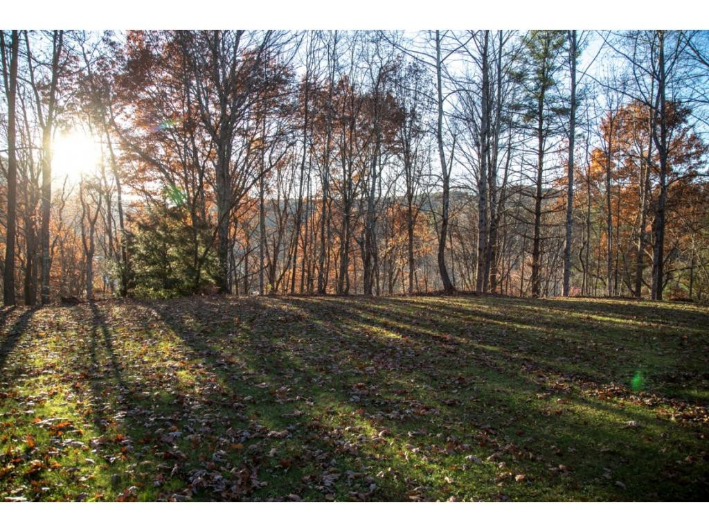 6302 Hilltop Road Norton, VA 24273 - Photo 10 of 34 Photo 10