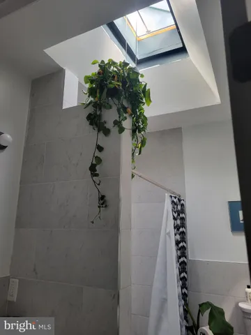 a view of a flower pot with wooden floor