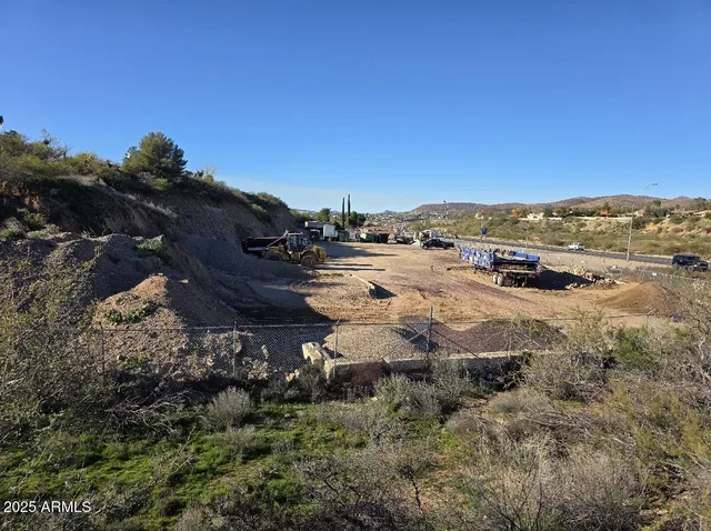 a view of a dry yard with lots of trees