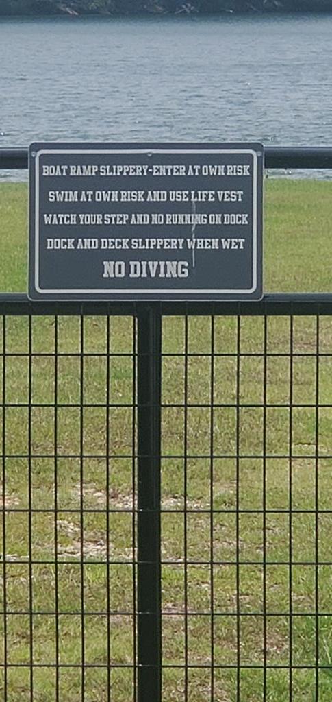 929 Scurry Church Road Chappells, SC 29037 - Photo 6 of 23 Gallery Image 6