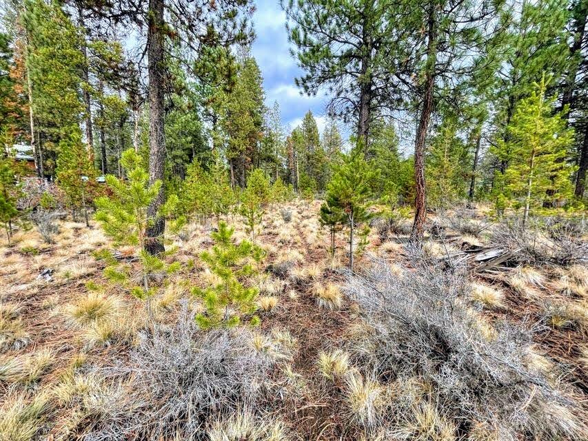 56031 Savage Road Bend, OR 97707 - Photo 6 of 10 12732