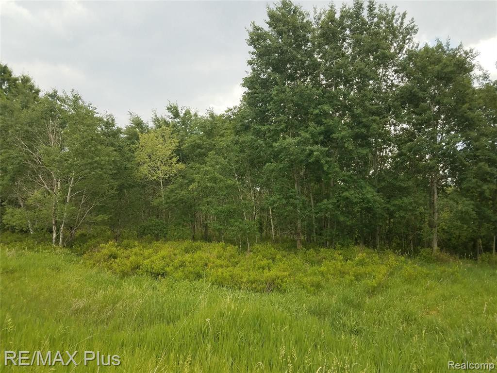 4790 Lonsberry Road Columbiaville, MI 48421 - Photo 53 of 59