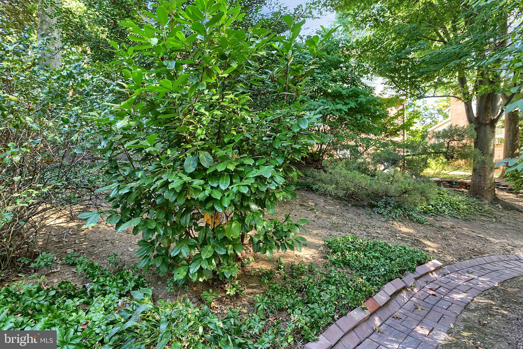 107 Valleyview Road New Cumberland, PA 17070 - Photo 21 of 28 Gallery Image 21