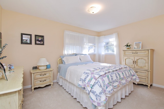 831 Long Road Glenview, IL 60025 - Photo 10 of 14