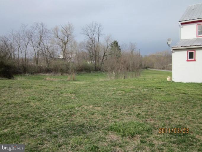 Back yard