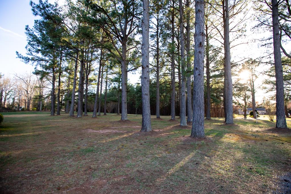 3940 Springfield Road Meherrin, VA 23954 - Photo 12 of 41 Gallery Image 12