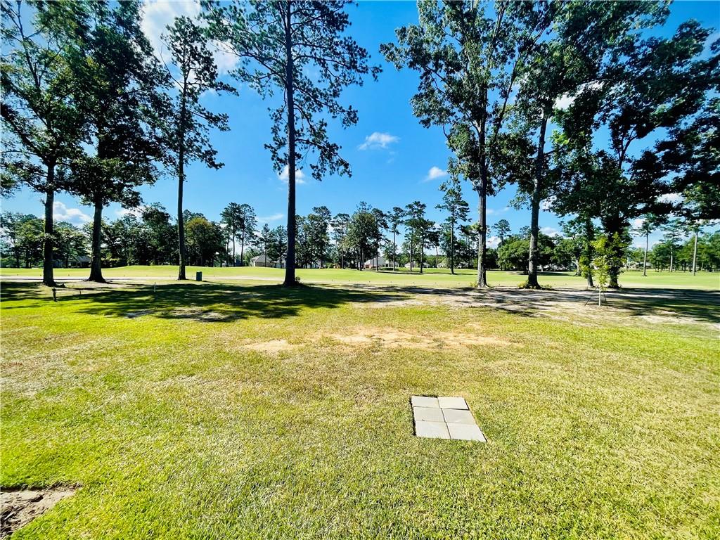 30834 Carter Cemetery Road Springfield, LA 70462 - Photo 20 of 20
