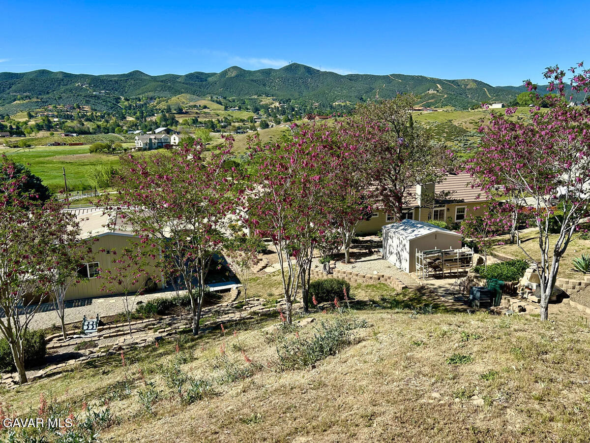 9251 Elizabeth Lake Road Leona Valley, CA 93551 - Photo 42 of 57 IMG_1870