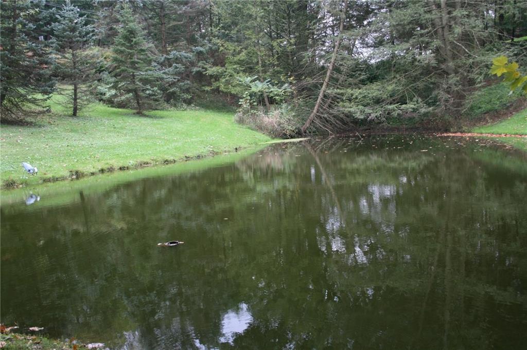 1620 Butler Road Springdale, PA 15144 - Photo 11 of 24 Gallery Image 11