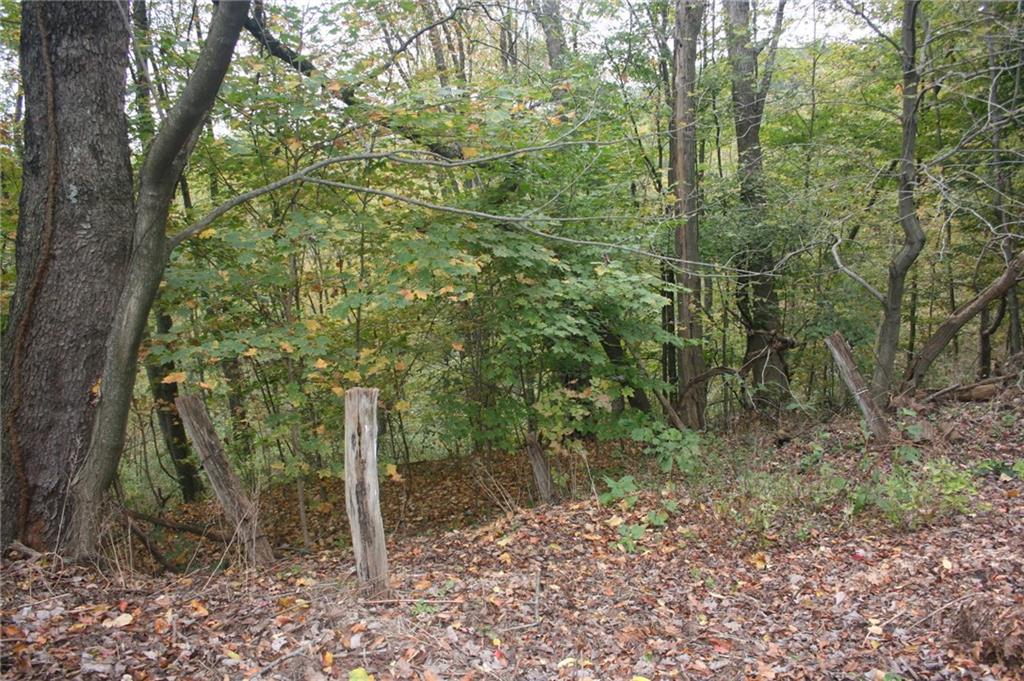 1620 Butler Road Springdale, PA 15144 - Photo 7 of 24 Gallery Image 7