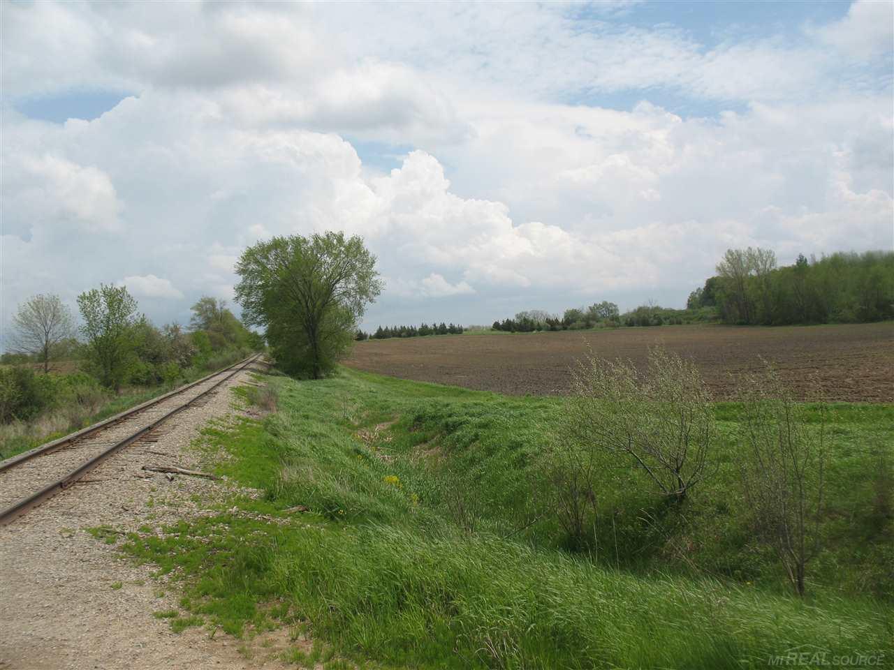 375 Charleston Road Ubly, MI 48475 - Photo 56 of 67 31380513-55.JPG