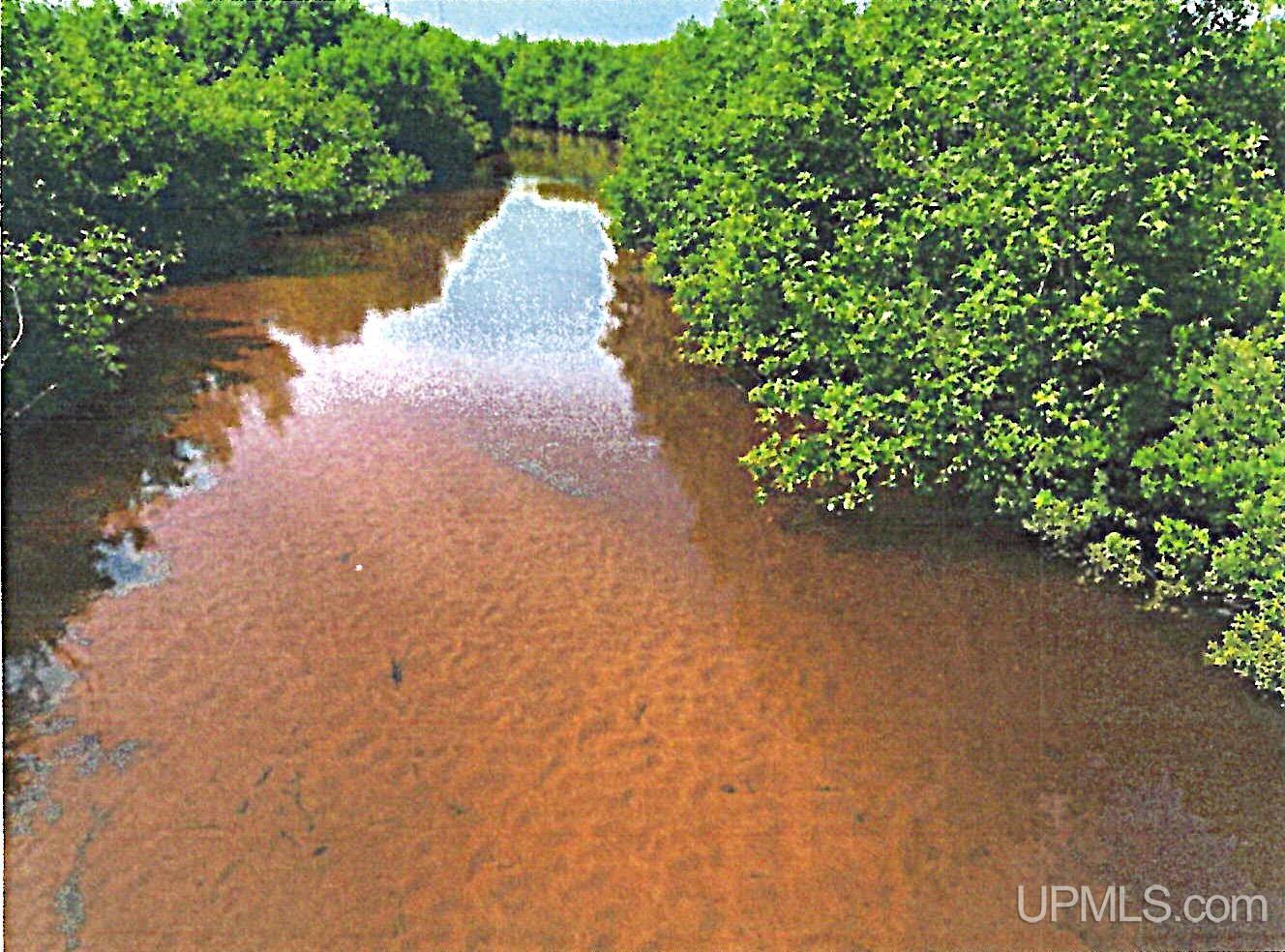 412 Co Road, Unit CLOSE TO PARADISE Newberry, MI 49868 - Photo 10 of 20 Gallery Image 10