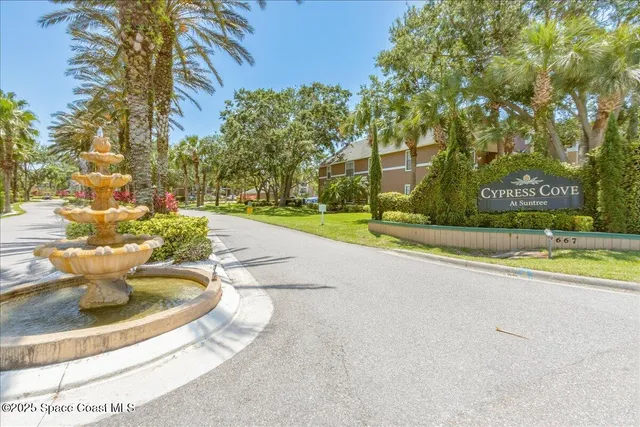 a view of a park with large trees