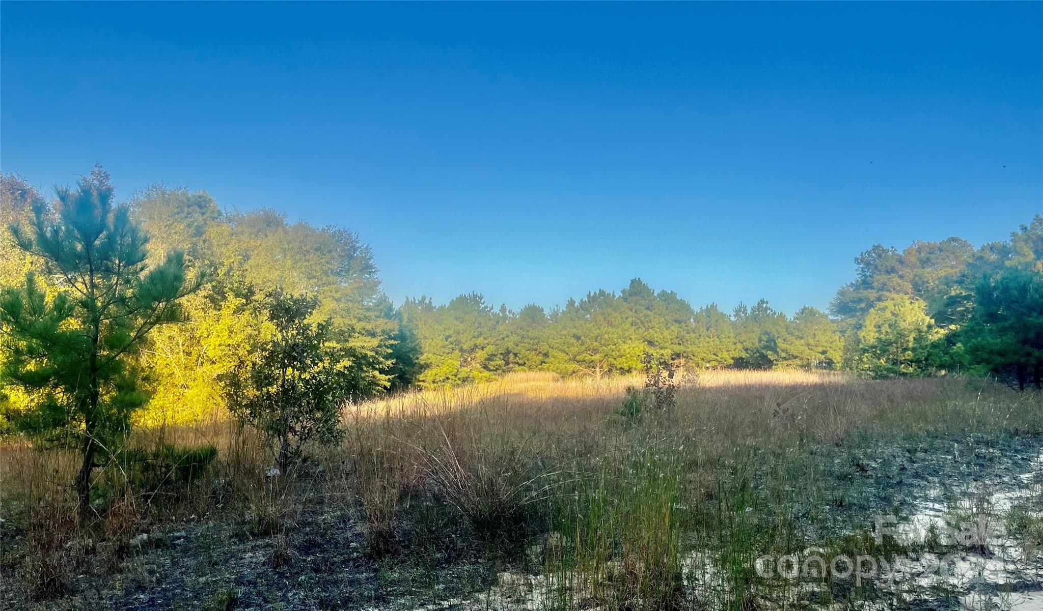 1097 Pine Road Jefferson, SC 29718 - Photo 1 of 8