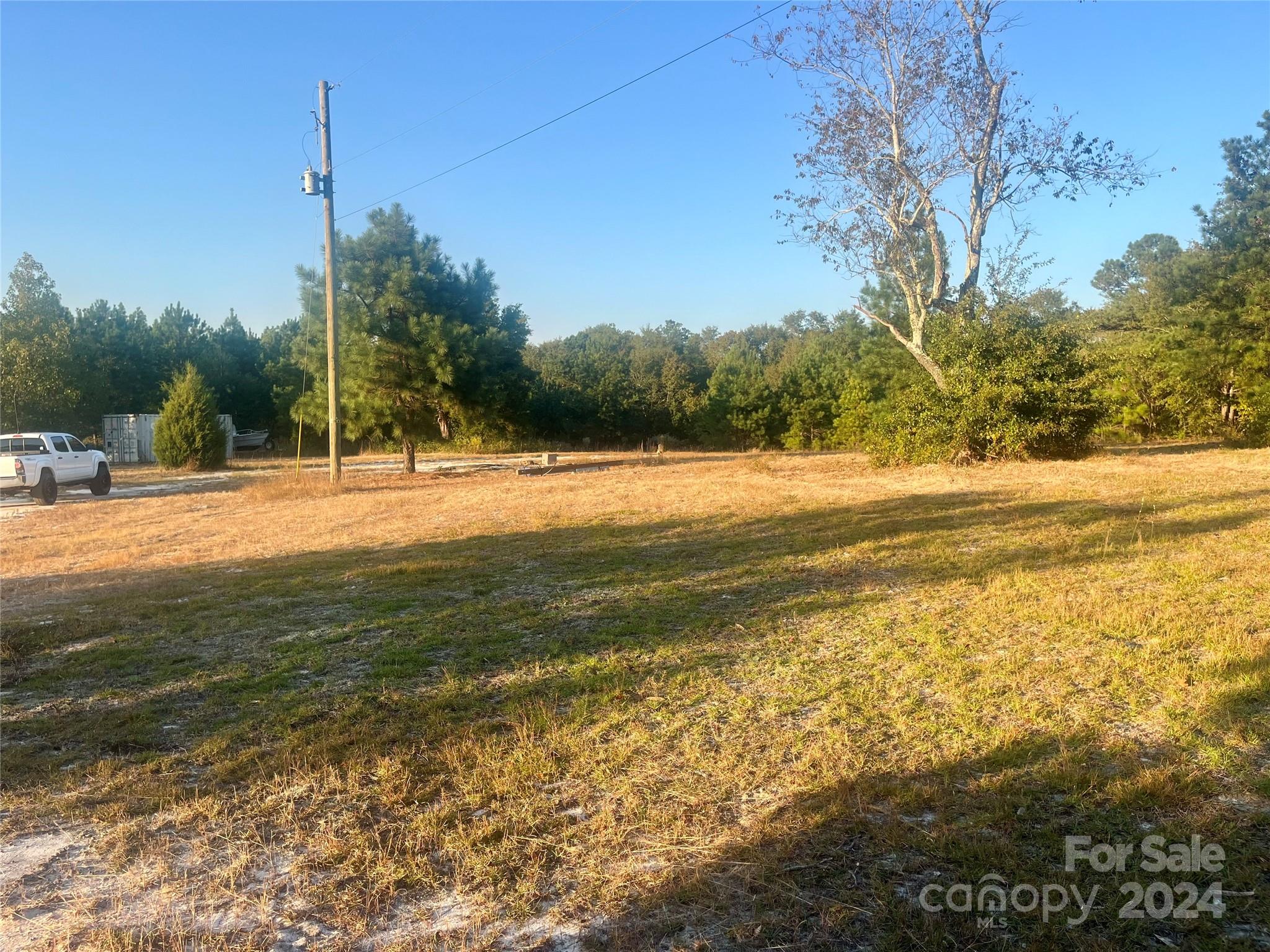 1097 Pine Road Jefferson, SC 29718 - Photo 4 of 8